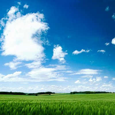 trouxa_mateus's profile picture. "Rome wasn't built in a day