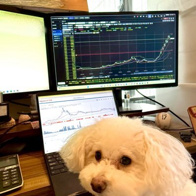 ruirui_kabu's profile picture. 株と美味しいご飯と旅行が趣味｜2024年7月から250万で本格的に投資スタート→現在4倍｜特技は現物ガチホ｜都内と沖縄に2棟不動産所有｜資産は株、不動産、金、仮想通貨