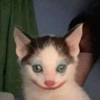 debra (:( (@yepdebs) 's Twitter Profile