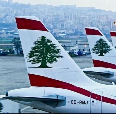 AraigeJ48743's profile picture. 