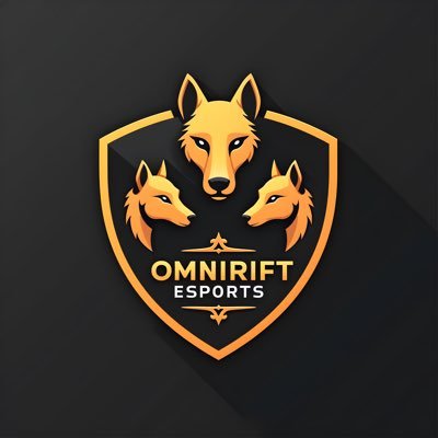 omniriftesports's profile picture. Professional Esports organization
