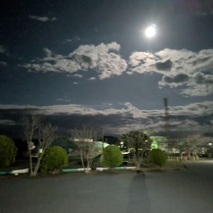 cACundUGsG76634's profile picture. 色々な人と繋がりたい
人種も男女も全て平等主義
ボランティア活動（形はどうあれ）