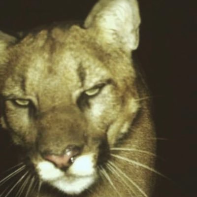 Rhea2096419's profile picture. 