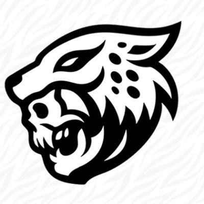 Equipo profesional de e-sports mexicano 
Valorant players

Hemos heredado dones de nuestros ancestros, la victoria es uno de ellos
#NahualEsports