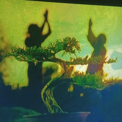 Bobby67401's profile picture. BOBBY G MASTER RETWEETER  Support My X Family  recognize GOD FIRST ALWAYS 💯 $BobbyG6740 @GatsbyWillDoIt 💲💲💲#SubZeroF #RoboticGang #CobraKaiNeverDies