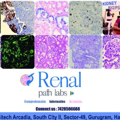 @RenalPathLabs