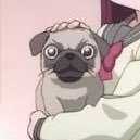 pugojibe's profile picture. 小林愛香さん大好きなLiandです！絡んで頂けたら嬉しいです。最近蓮ノ沼に浸かりました🪷 梢先輩と慈ちゃん推しです(キャラのキャストさんも推してます) 中日ドラゴンズの大ファンで、ちいかわも大好きです