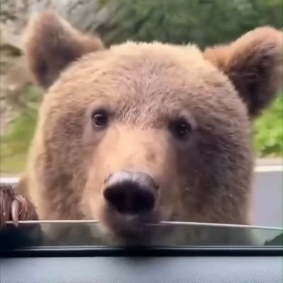 Handsome Hyperbearean | 6'4 man seeks giantess wife for warlord sons or princess daughters
