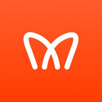 Momentum Profile