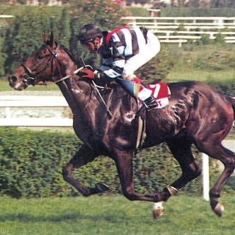 yujeffreverse's profile picture. ig yujeffreverse