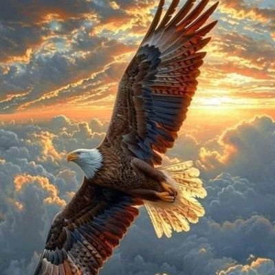 GogaAlahlawy's profile picture. 🌹🌹رائحة الحب
لا توصف بكلمات ..
ولكن حين تقترب تُعلن عن نفسها بوضوح 🌹🌹