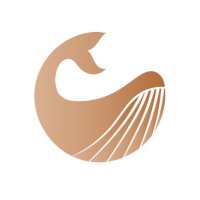 Bwpows (@bwpows) 's Twitter Profile