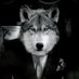 Vengeance🦇 (@vampirrrr__hoon) Twitter profile photo Vengeance🦇 (@vampirrrr__hoon) Twitter profile photo