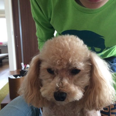 BuIrxq's profile picture. 今年50歳なる弱小投資家兼サラリーマンです。コツコツ投資について勉強中です。今更感もありますが人生変えたいです！