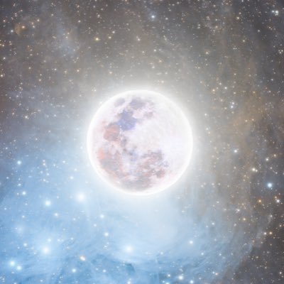 PoopypantzCake's profile picture. BTC, ETH, RSC, TAOBOT, TSLA, MSTR