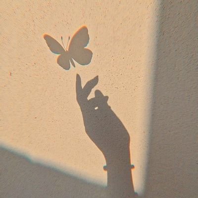 yesseniamonse14's profile picture. 23 años  🌺✨
México 💖 🤍💚
me encanta la mayoría de cosas relacionadas con sonic y además de la fantasía casi como los cuentos de hadas uwu  🌙✨🌺🦔