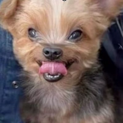 bbyggkuromi's profile picture. petite 5’4 latina in socal 🙂‍↕️