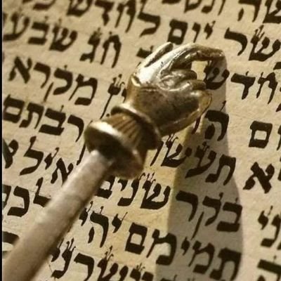 דוד ✡️🇮🇱 Profile