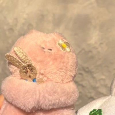 ♥れは私の別のアカウントです。フォロワーはDM返す♥