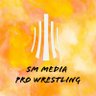 SMMediaPW's profile picture. The Wrestling channel of @SMMediaEnt.