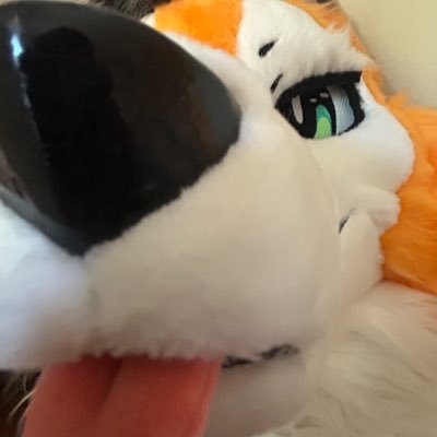 Freelance Artist ✏️ | Production Designer 🎬 | Teacher 🗺️ | Photographer 📷 | {He/Him/They • 23} | Suits by: @Brightsidecostumes//@because_fuzz//@Canis_Major_C