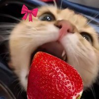 .☽༊˚ (@tjsdnjs15) 's Twitter Profile