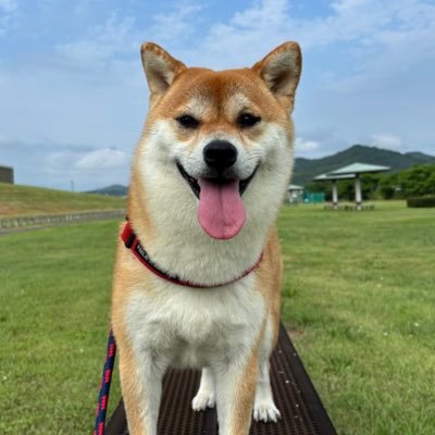 ファジアーノ岡山/柴犬テツさん(2011.10.14〜2022.12.26)/柴犬ムギちゃん(2022.07.03～)/全員で勝つ！J1楽しもう！