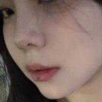 tteerr (@itree2024) 's Twitter Profile