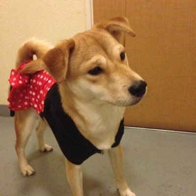 web163437925421's profile picture. 東京都在住 |業務提携2社| 2021年1月から学習開始→４年の勉強→スクール卒業を経て2024年6月14日に開業|元建設業界→web制作業界へ転向 趣味 : サッカー、ジェットコースター、杏露酒が好き、出身はバルセロナ🇪🇸と言ってみたい。