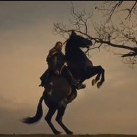 🏹 Tahir ..🇹🇷⚔RT (@erturul86487228) Twitter profile photo