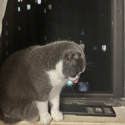 mozart_ken12314's profile picture. 