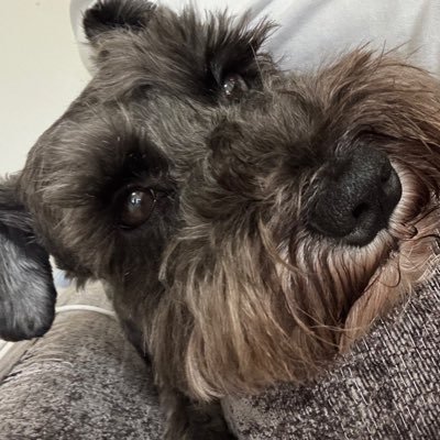 korokoro930's profile picture. 