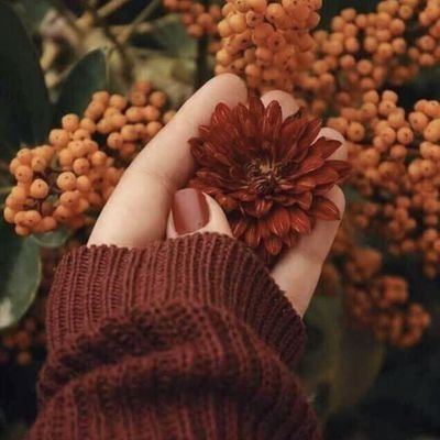 pm_27_l's profile picture. 