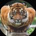 AlSaif (@miankamureed) Twitter profile photo AlSaif (@miankamureed) Twitter profile photo