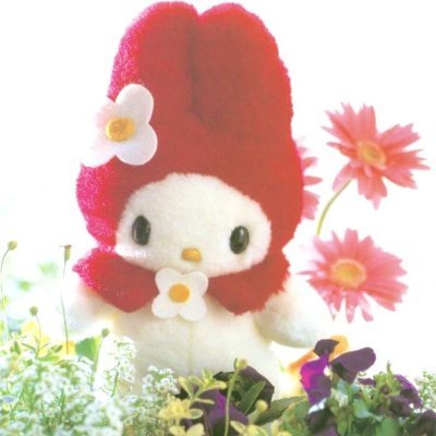 sapihepi's profile picture. 👛˚₊‧꒰ა 🎀 ໒꒱‧₊˚🎟️