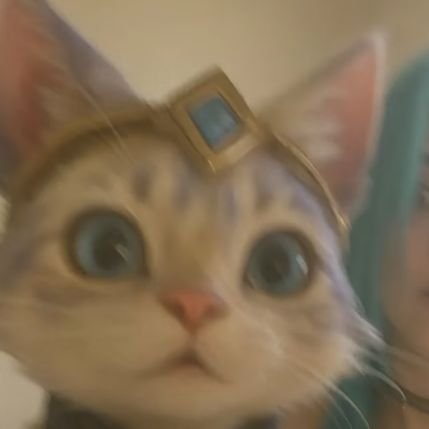 YER1055556's profile picture. 