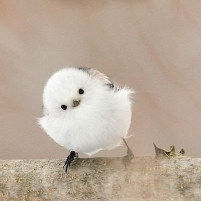 nccv4gzXhG42461's profile picture. 