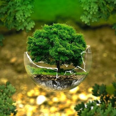 Welcome to my profile
👉 College Students
🐍 જય ગોગા બાપા 🐍🙏🏻