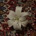 ّّ (@onlyme7alone) Twitter profile photo ّّ (@onlyme7alone) Twitter profile photo