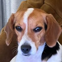 na (@minerstar88) 's Twitter Profile