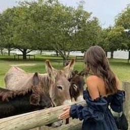 Fwoixge26697's profile picture.