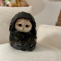 美月の部屋 (@mizukitinoheya) Twitter profile photo