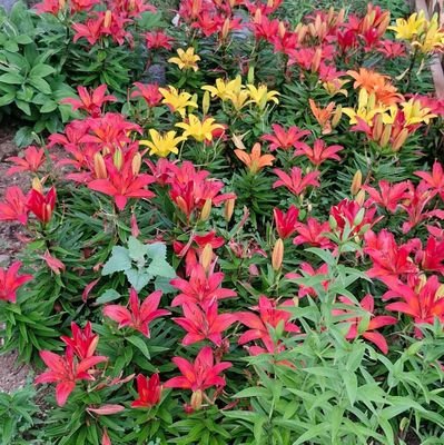 psangyeon751's profile picture. 👨‍🔬⛳️😇