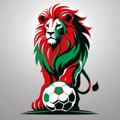 Média Indépendant traitant de l'actualité de l'Equipe Nationale.
