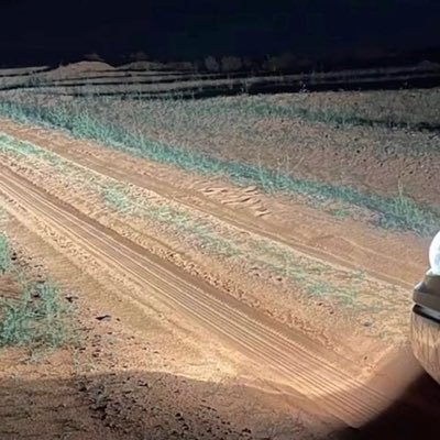 nzy_al43286's profile picture. .