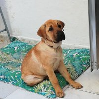 Rubén (@rubigonpar29) 's Twitter Profile