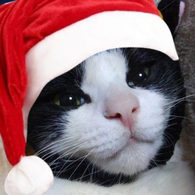 静かに暮らしたいさんのプロフィール画像