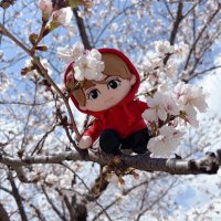 hikari (@hikari681488) Twitter profile photo