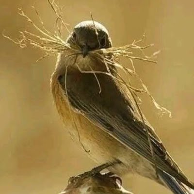 MrHamza382202's profile picture. seo expert
content collaboration opportunity
writer