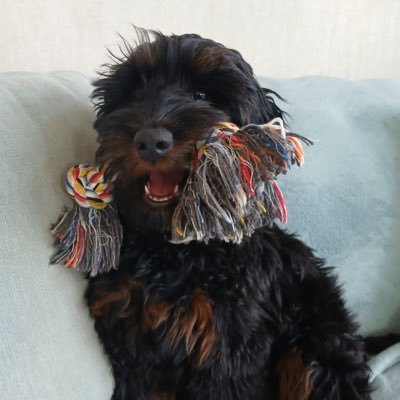 Simon349689's profile picture. Outdoors.Walking. Wild camping. Vanlife. End the UniParty. Remigration is Inevitable.